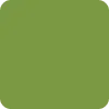 Fizz & Matcha matcha green brand color palette