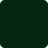 Fizz & Matcha deep forest green brand color palette